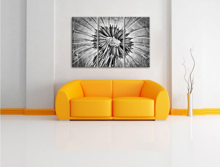 Pixxprint Vertrocknete Pusteblume als Leinwandbild/Grösse: 3 Teilig (120x80) cm/Wandbild/Kunstdruck/