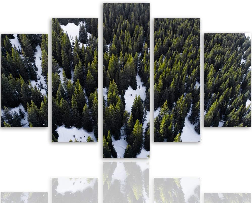 Feeby Bilder Modern Landschaft 5 Teilig Design Art Wald Winter Bäume grün 100x70 cm Deco panel 100x7