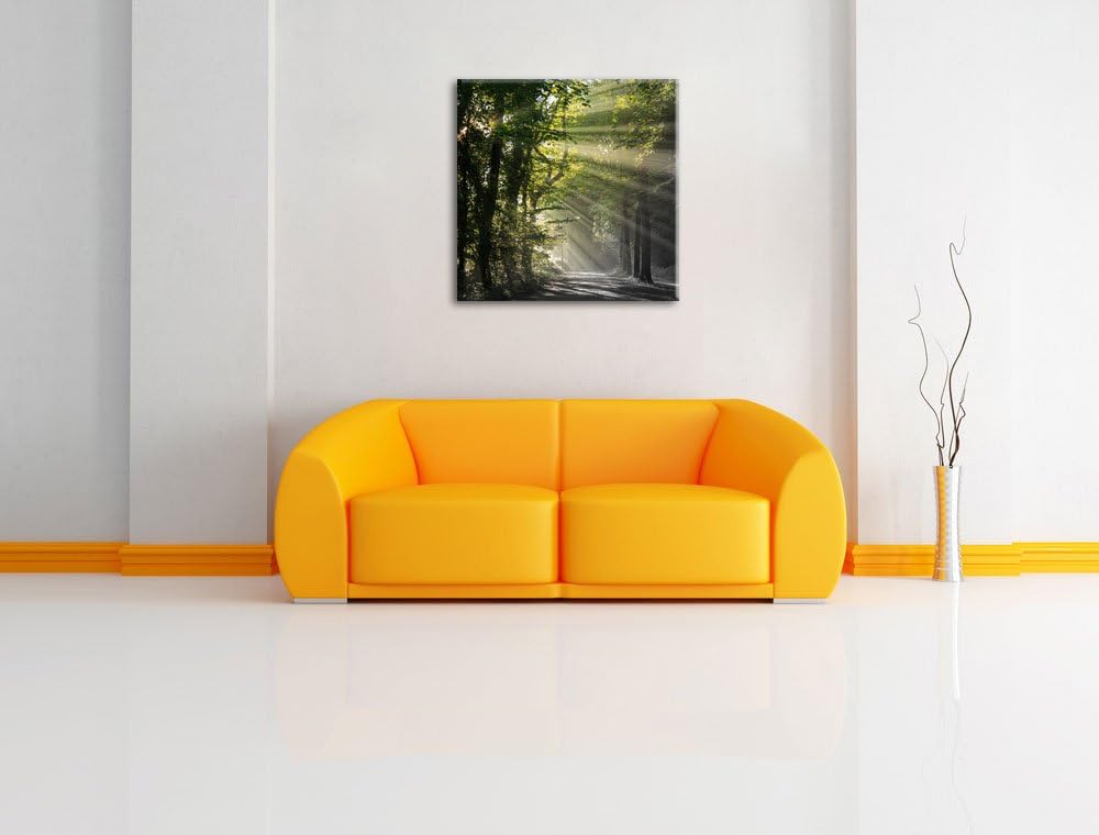 Pixxprint Waldweg im Frühling als Leinwandbild/Grösse: 70x70 cm/Wandbild/Kunstdruck/fertig bespannt,