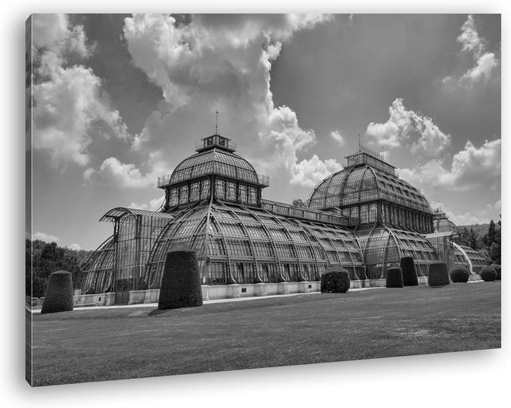 deyoli das Palmenhaus in Schönbrunn Wien Effekt: Schwarz/Weiss Format: 80x60 als Leinwandbild, Motiv