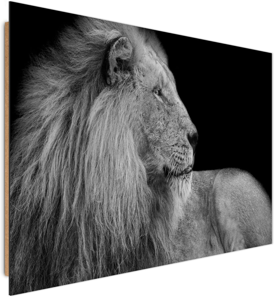 Feeby. Wandbilder - 1 Teilig- 70x100 cm - Bilder Kunstdrucke Deko Panel, LÖWE, NATUR, SCHWARZ UND WE