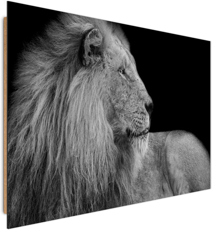 Feeby. Wandbilder - 1 Teilig- 70x100 cm - Bilder Kunstdrucke Deko Panel, LÖWE, NATUR, SCHWARZ UND WE