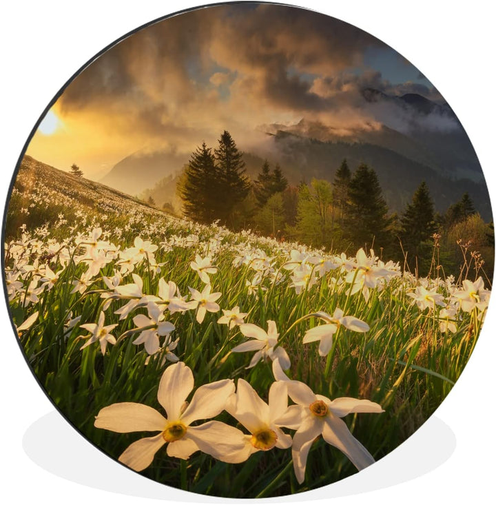 MuchoWow Wandbild Rund Wanddeko Deko Wohnzimmer Bilder 60x60 cm Blumenfeld - Hügel - Sonnenuntergang