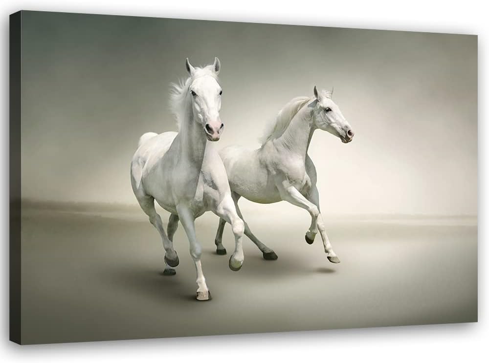 Feeby Vlies Leinwandbild Hengst Laufen Stute Pferde 90x60 cm Druckbild Wandbild Wanddekoration Deko