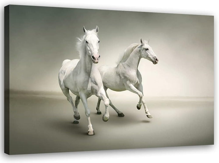 Feeby Vlies Leinwandbild Hengst Laufen Stute Pferde 90x60 cm Druckbild Wandbild Wanddekoration Deko
