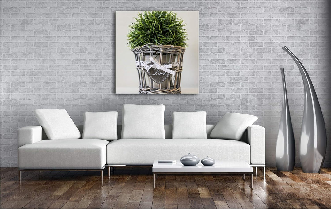 deyoli Schilf im Blumentopf im Format: 70x70 als Leinwandbild, Motiv fertig gerahmt auf Echtholzrahm