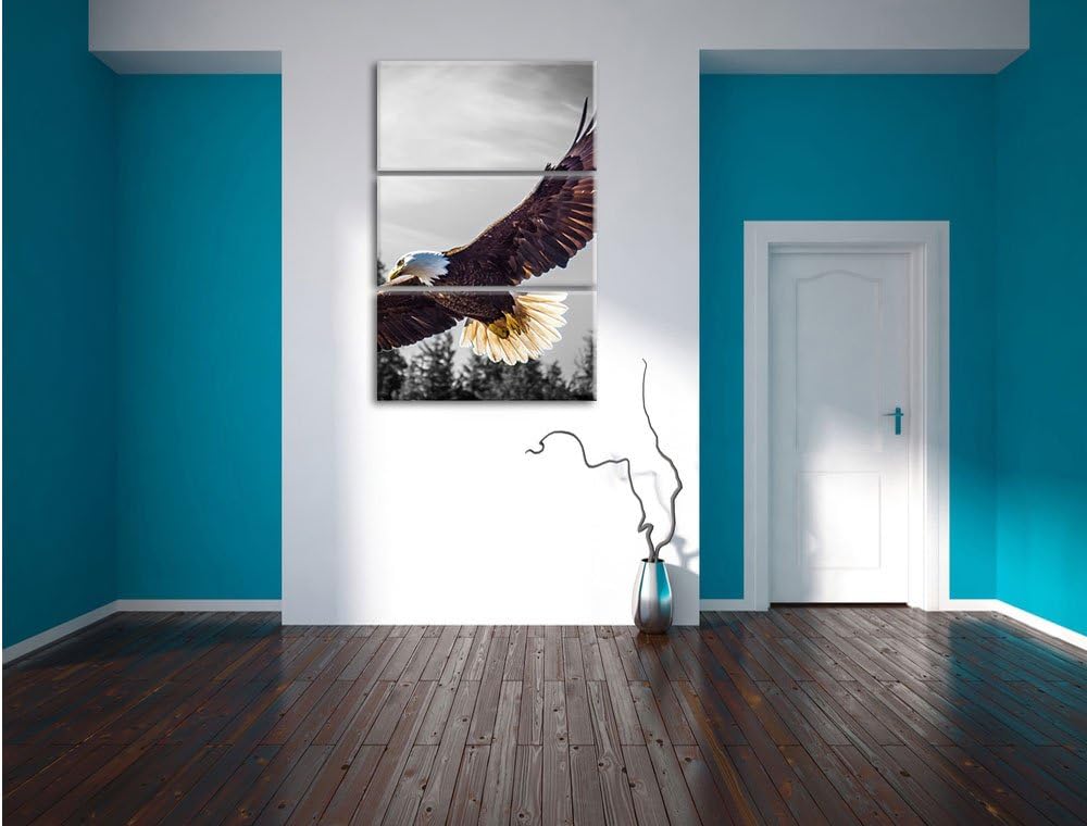 Pixxprint grosser Fliegender Adler schwarz/weiss als Leinwandbild | Grösse: 3 Teilig (120x80) | Wand