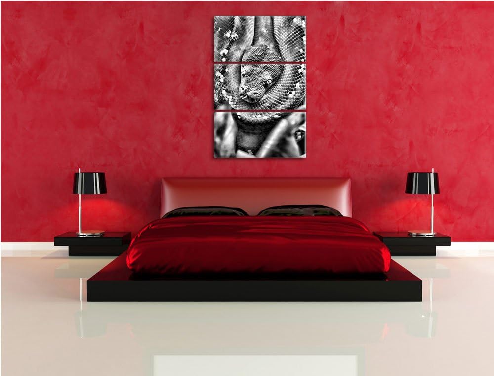 Pixxprint Monocrome, Grüne giftige Schlange 3-Teiler Leinwandbild 120x80 Bild auf Leinwand