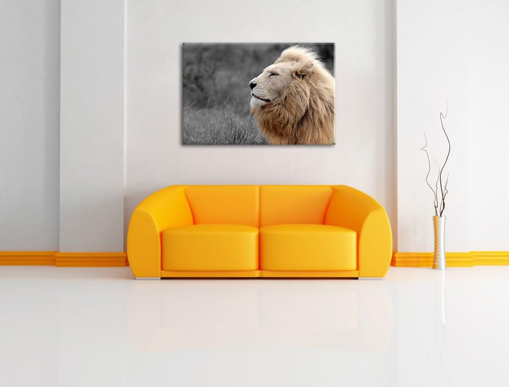 Weisser majestätischer Löwe in der Savanne schwarz/weiss Format: 100x70 auf Leinwand, XXL riesige Bi