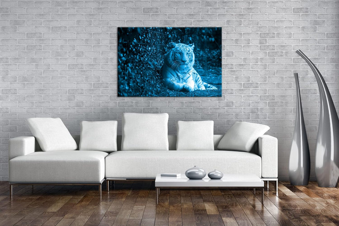 deyoli anmutiger weisser Tiger Format 80x60 Effekt: Monocrome Blau als Leinwandbild, Motiv fertig ge
