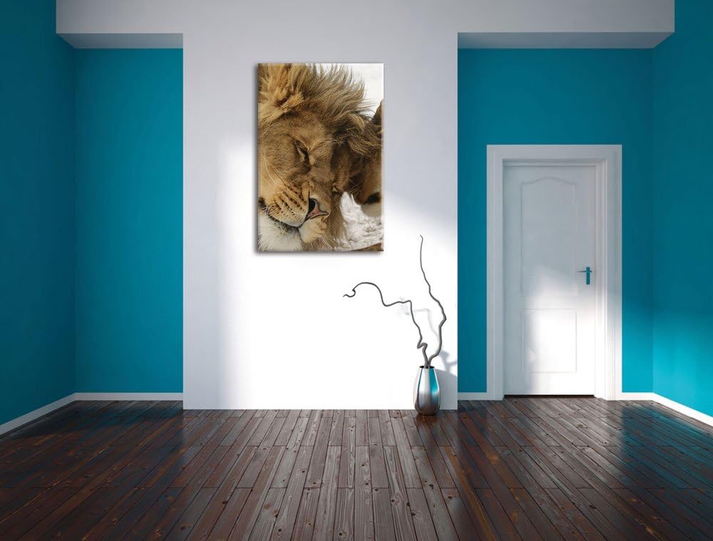 Kuschelnde Löwen, Format: 100x70 auf Leinwand, XXL riesige Bilder fertig gerahmt mit Keilrahmen, Kun