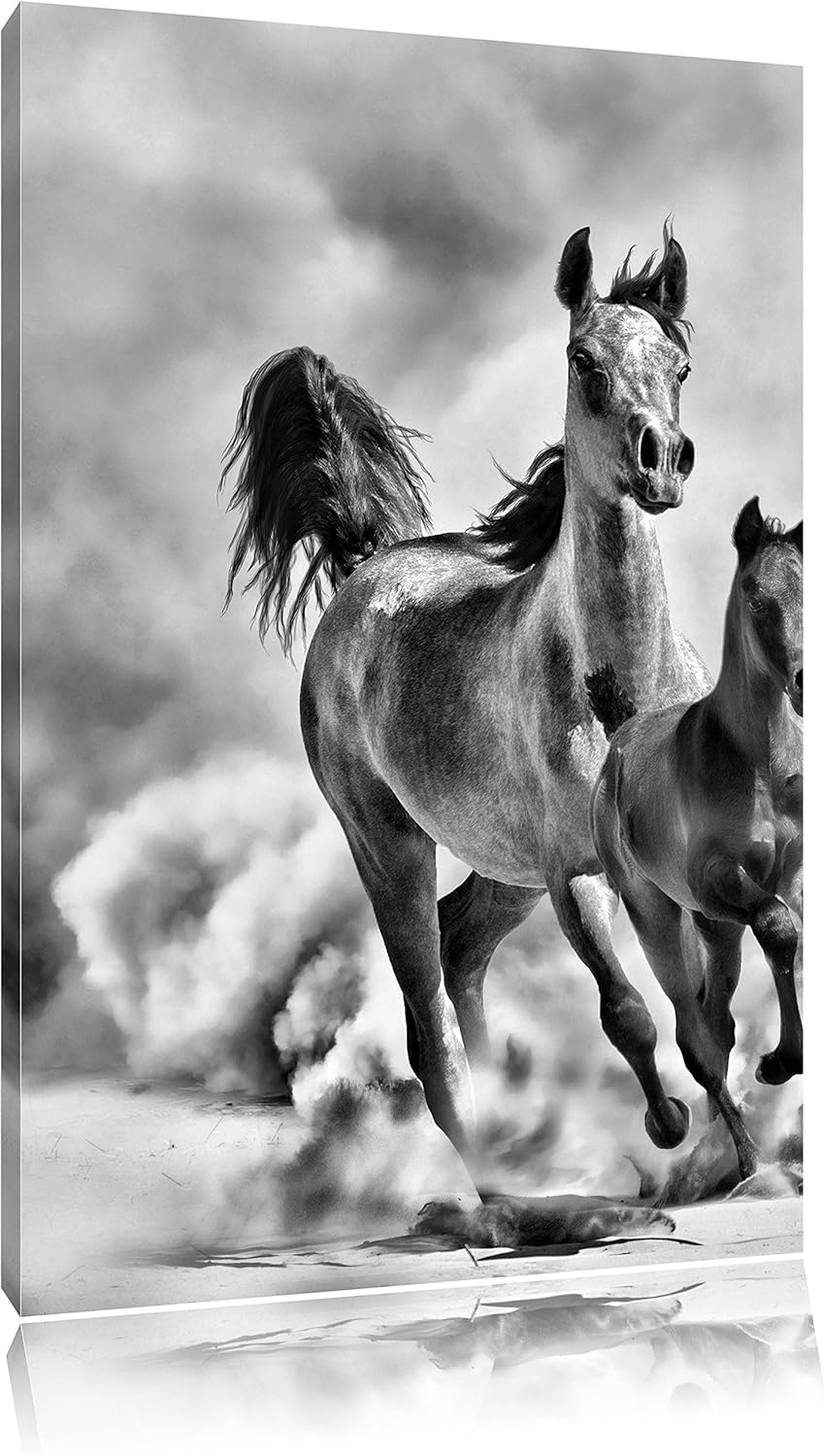 Pixxprint Monocrome, Western Pferde in Wüste mit Fohlen, Format: 100x70 auf Leinwand, XXL riesige Bi