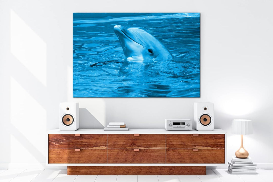 deyoli freundlicher Delphin im Aquarium Format 80x60 Effekt: Monocrome Blau als Leinwandbild, Motiv
