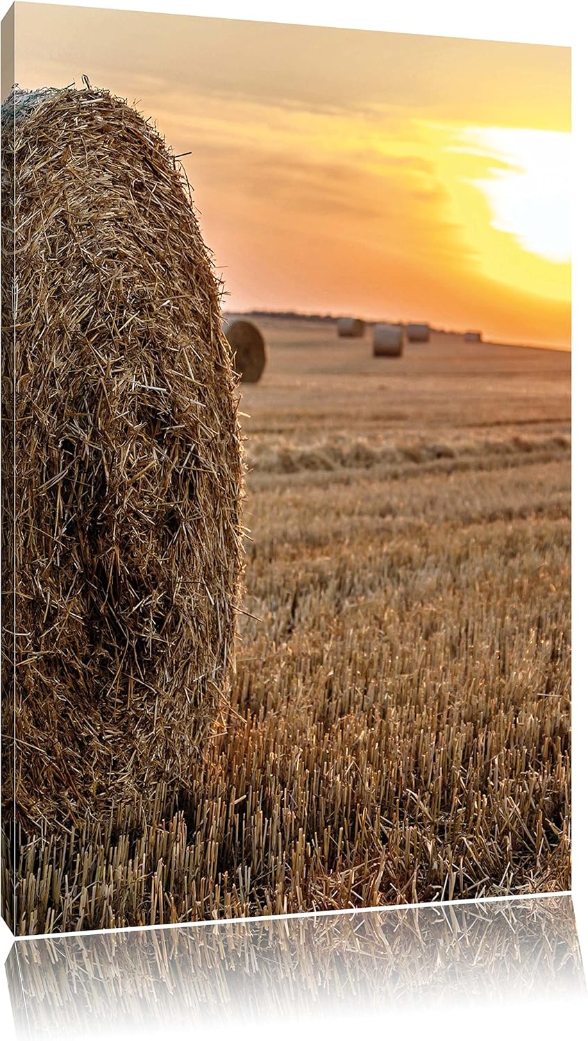 Strohballen auf Feld, Format: 100x70 auf Leinwand, XXL riesige Bilder fertig gerahmt mit Keilrahmen,