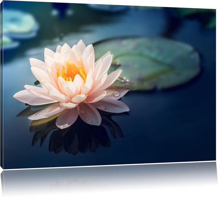 Pixxprint Eine schöne rosa Lotosblume in Teich, Format: 100x70 auf Leinwand, 100x70