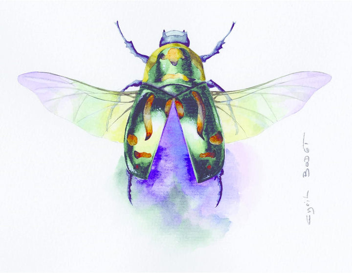 Clairefontaine 96573C Malblock, 4-seitig verleimt Aquarellpapier Feinkörnig, Etival/Zellulose, 36 x