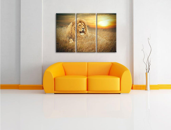 Pixxprint mächtiger Löwe als Leinwandbild/Grösse: 3 Teilig (120x80 cm) cm/Wandbild/Kunstdruck/fertig