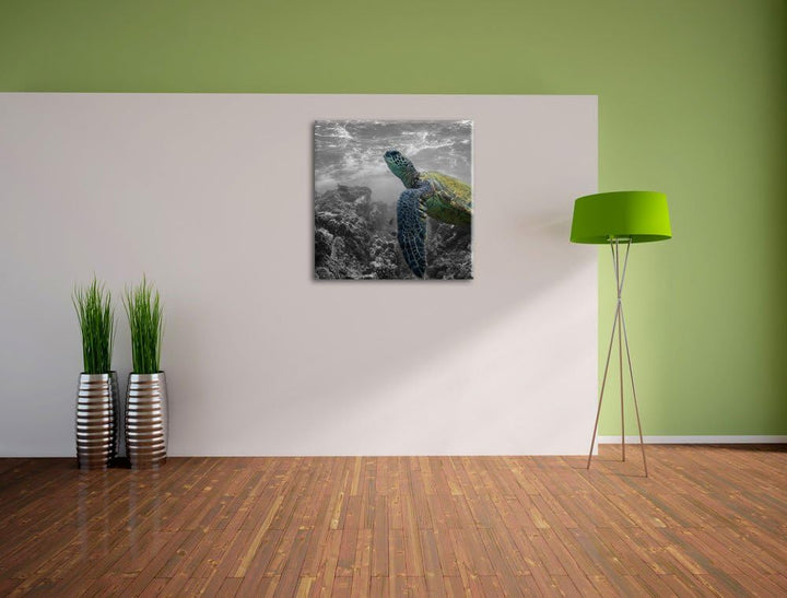 Pixxprint Schildkröte und Korallen im Ozean / 70x70cm Leinwandbild bespannt auf Holzrahmen/Wandbild