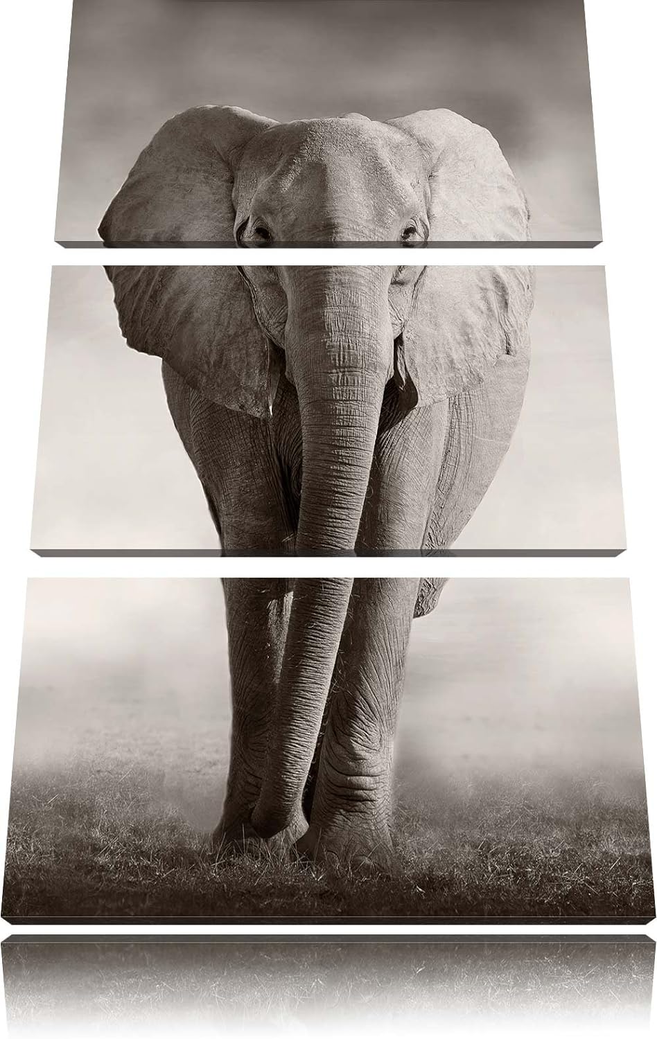 Pixxprint Elefant in Savanne 3-Teiler Leinwandbild 120x80 Bild auf Leinwand