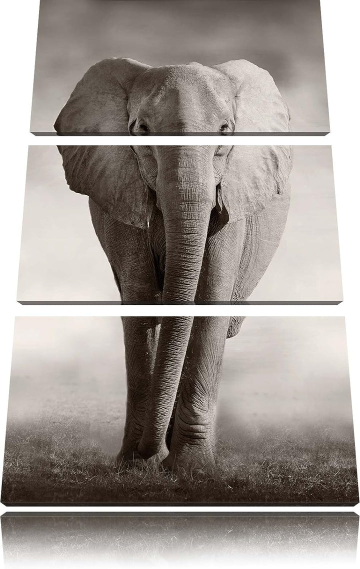 Pixxprint Elefant in Savanne 3-Teiler Leinwandbild 120x80 Bild auf Leinwand