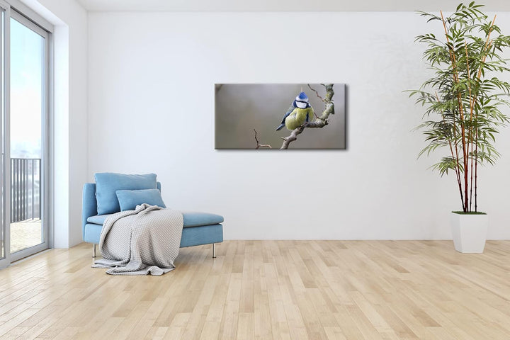 Kleiner Dicker Vogel Panorama 120x60 cm als Leinwandbild, Motiv fertig gerahmt auf Echtholzrahmen, H