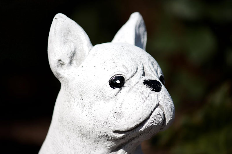 stoneandstyle Steinfigur französische Bulldogge Dogge Hund, Frost- und Wetterfest, handgearbeitet