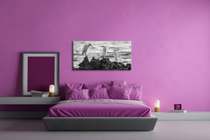 Vögel des Meeres Panorama 60x30 cm Effekt: Schwarz/Weiss als Leinwandbild, Motiv fertig gerahmt auf