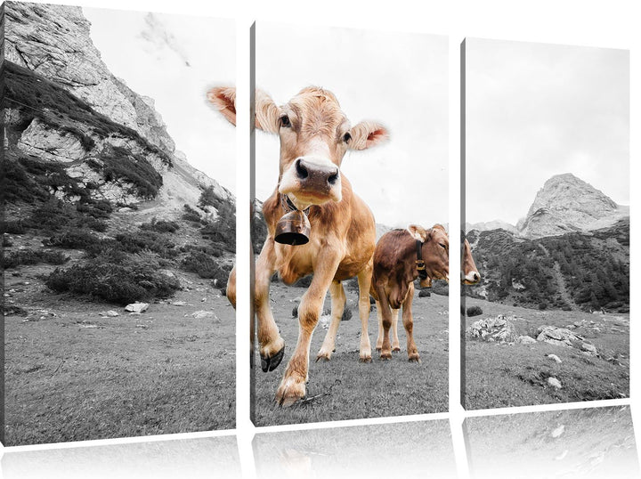 Pixxprint Almkuh auf der Weide als Leinwandbild 3 teilig/Grösse: 3 Teilig (120x80) / Wandbild/Kunstd