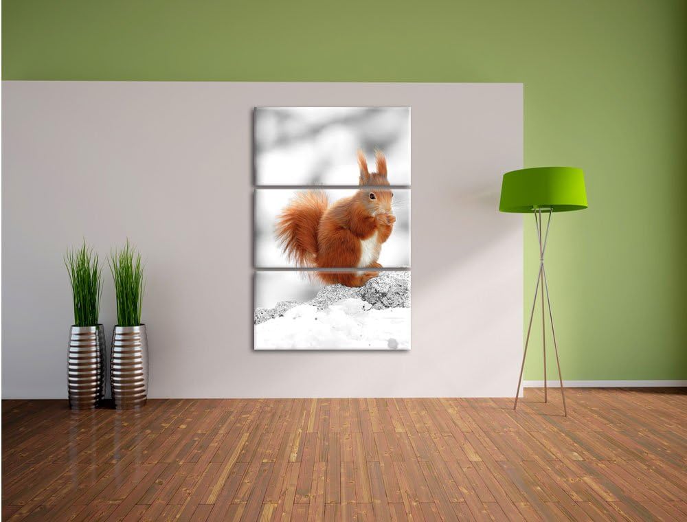Pixxprint Eichhörnchen in verschneitem Wald als Leinwandbild/Grösse: 3 Teilig (120x80) cm/Wandbild/K
