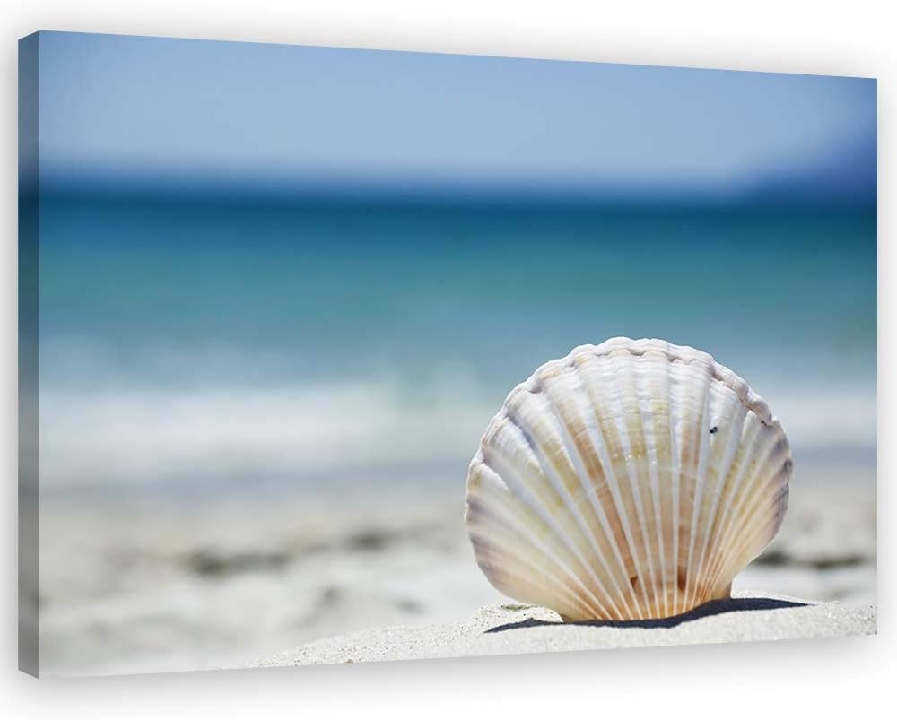 Feeby Bilder Wohnzimmer Muscheln Strand Meer XXL 90x60 cm 1Teilig Schlafzimmer Flur Wandbilder Leinw