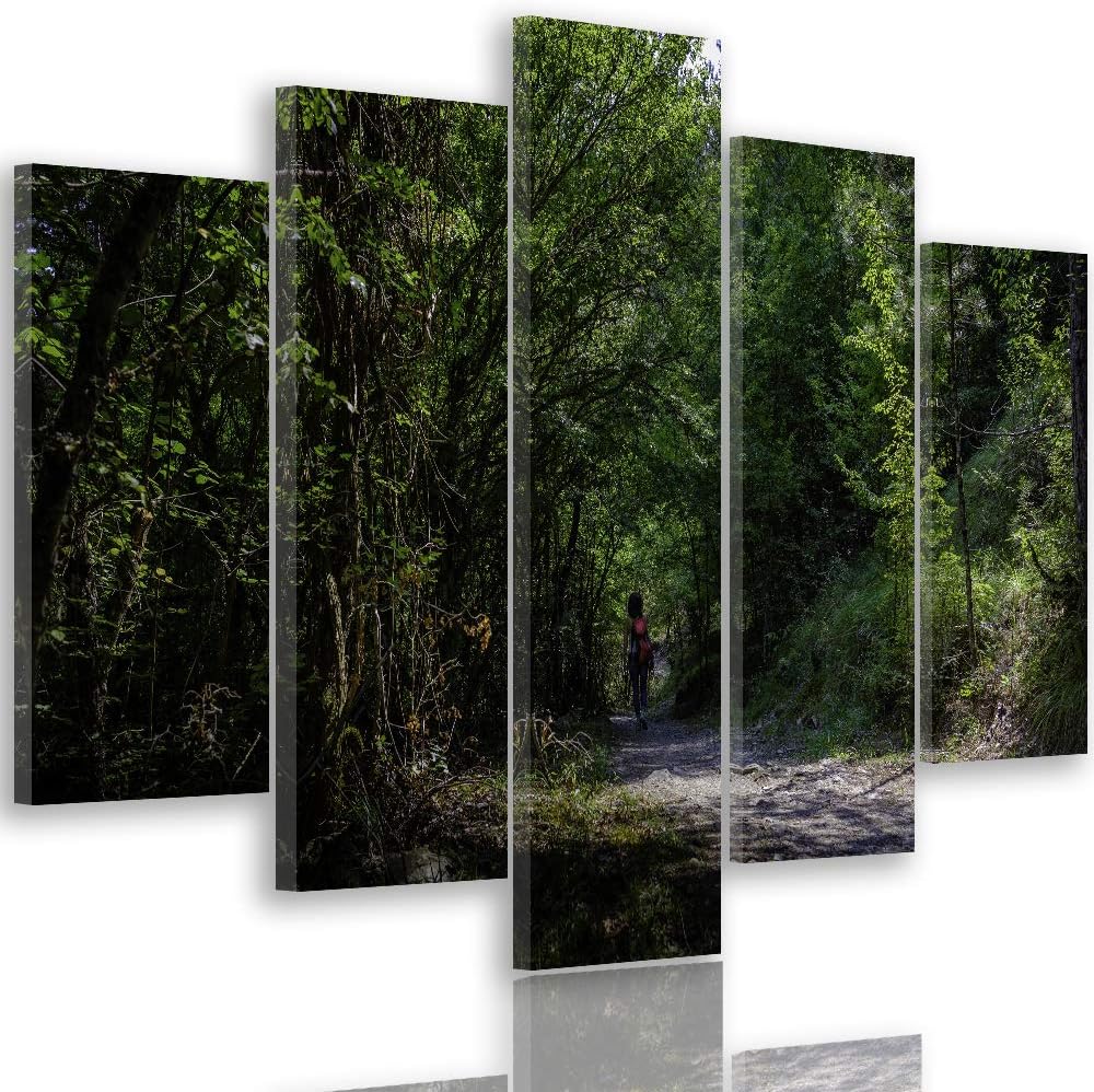 Feeby Wanddeko XXL Landschaft Leinwandbild 5 Teilig Natur Weg Bäume Wald grün 100x70 cm Leinwandbild