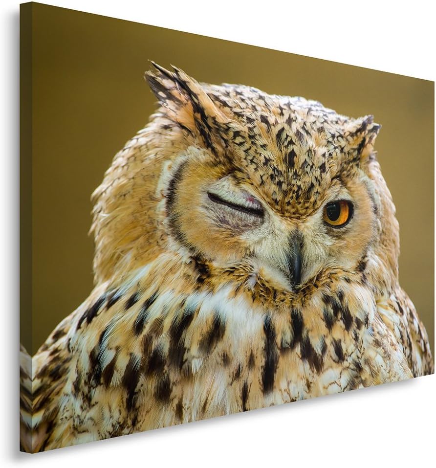 Feeby Bilder Eule Tier 60x40 cm Wohnzimmer Schlafzimmer Büro Flur Küche Wandbilder Modern Bild auf L