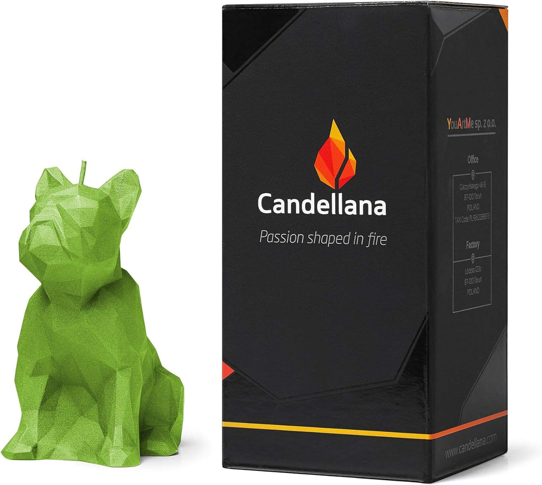 Candellana Kerze Bulldogge Low Poly | Höhe: 15 cm | Limette | Handgemacht in der EU 13 x 7,5 x 15 cm