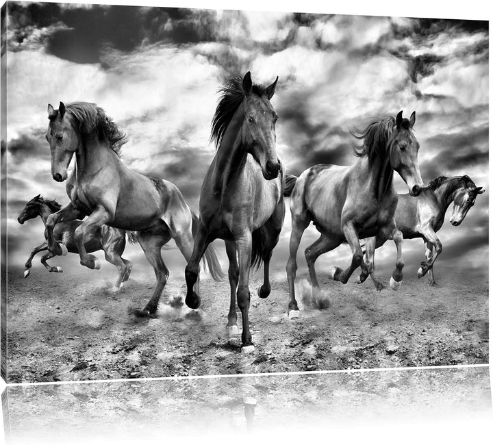 Pixxprint Monocrome, Western Pferde Cowboy, Format: 100x70 auf Leinwand, 100x70