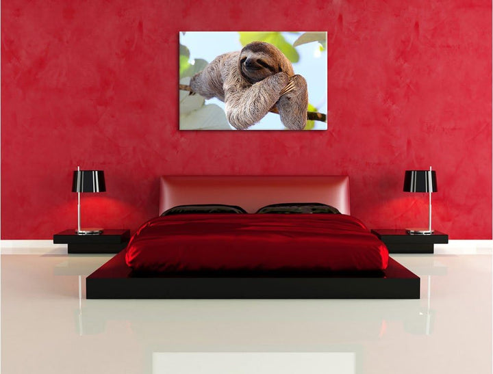 Pixxprint schönes Faultier hängt von AST als Leinwandbild/Grösse: 100x70 cm/Wandbild/Kunstdruck/fert