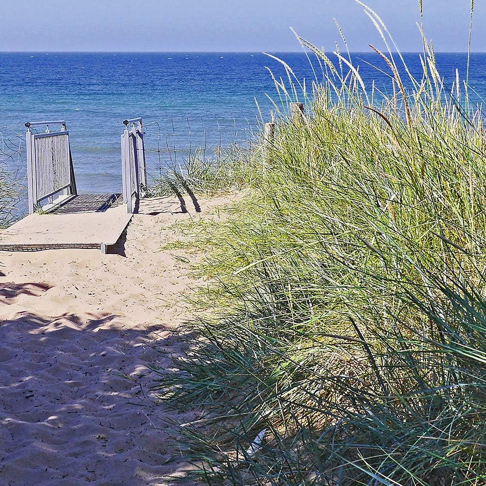 Feeby Leinwandbild 5 Teilig Landschaft Bild Wanddeko Strand Gras Pfad blau 150x100 cm Leinwandbild 1