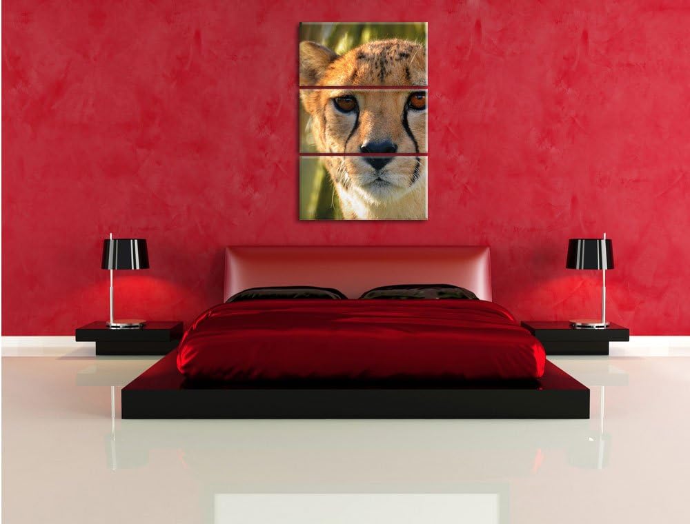 Pixxprint junger Gepard im Dschungel als Leinwandbild/Grösse: 3 Teilig (120x80) cm/Wandbild/Kunstdru