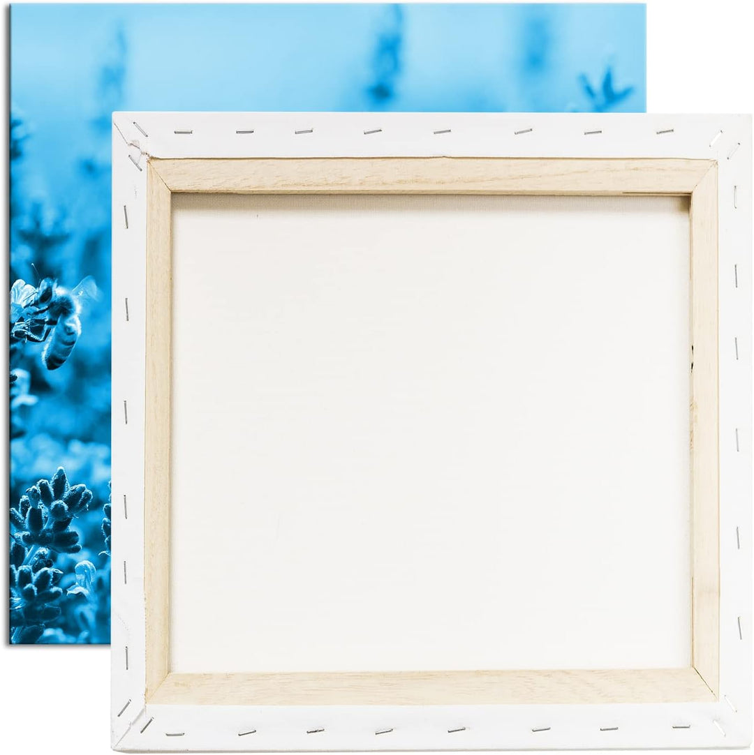 deyoli Bienen im blühenden Lavendel Format: 70x70 Effekt: Monocrome Blau als Leinwandbild, Motiv fer