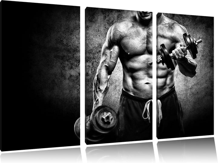 Pixxprint Monocrome, Starker Bodybuilder mit Hantel 3-Teiler Leinwandbild 120x80 Bild auf Leinwand