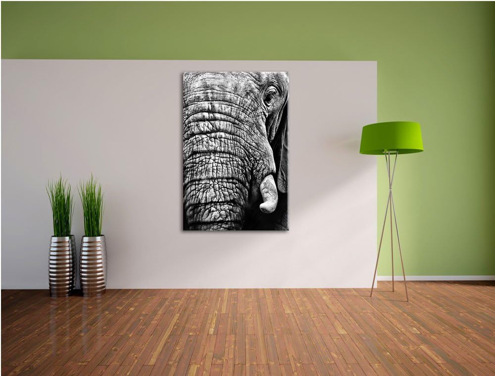 Pixxprint Elefant im Porträt als Leinwandbild | Grösse: 100x70 cm | Wandbild | Kunstdruck | fertig b