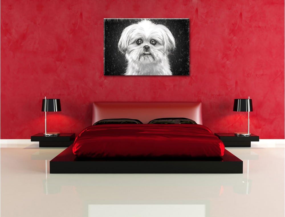 Pixxprint lustiger Kleiner Hund Kunst als Leinwandbild/Grösse: 100x70 / Wandbild/Kunstdruck/fertig b