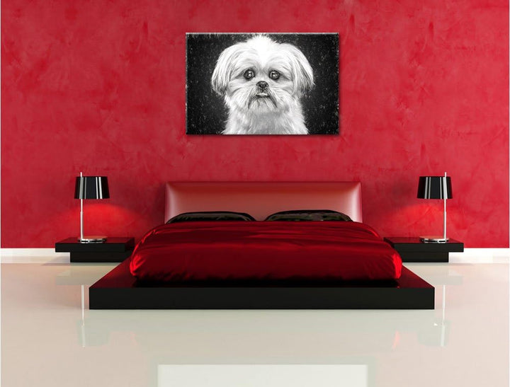 Pixxprint lustiger Kleiner Hund Kunst als Leinwandbild/Grösse: 100x70 / Wandbild/Kunstdruck/fertig b