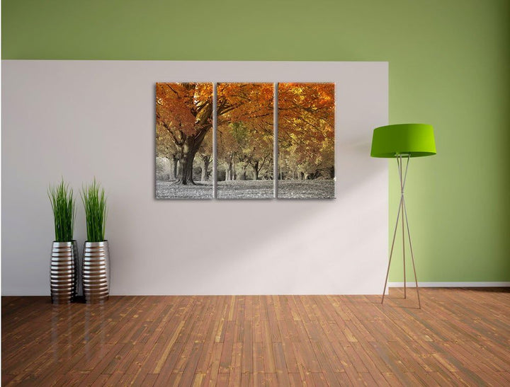 Pixxprint schöne Herbstlandschaft als Leinwandbild/Grösse: 3 Teilig (120x80 cm) cm/Wandbild/Kunstdru