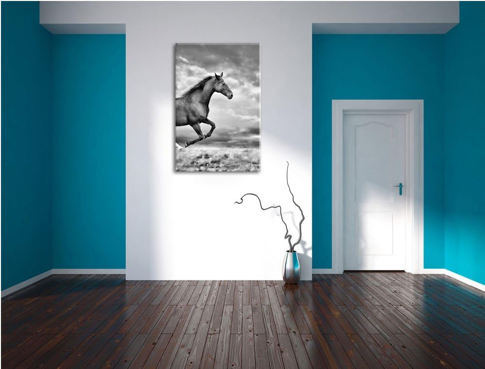 Pixxprint Monocrome, Edler schwarzer Hengst auf Wiese, Format: 100x70 auf Leinwand, XXL riesige Bild