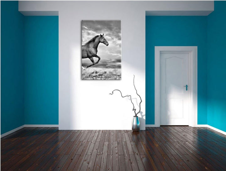 Pixxprint Monocrome, Edler schwarzer Hengst auf Wiese, Format: 100x70 auf Leinwand, XXL riesige Bild