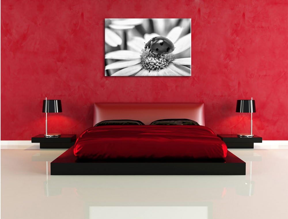 Pixxprint Monocrome, Marienkäfer auf Gänseblümchen als Leinwandbild/Grösse: 100x70 / Wandbild/Kunstd