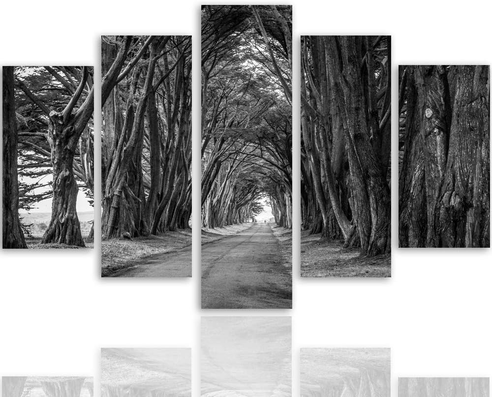 Feeby Wandbild XXL 5 Teilig Landschaft Leinwandbild Bäume Allee Natur grau 300x140 cm Leinwandbild 3