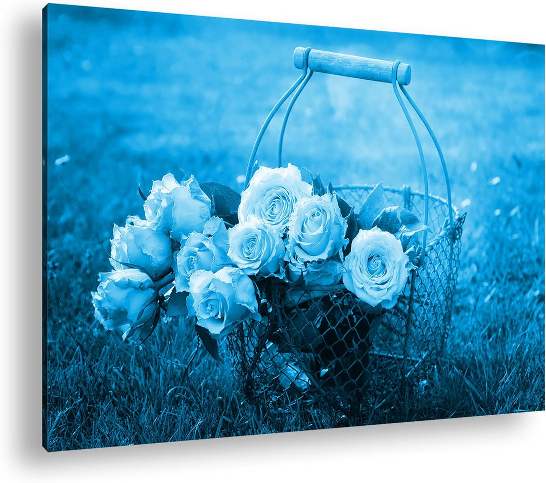 deyoli Rosa Rosenstrauss Format 80x60 Effekt: Monocrome Blau als Leinwandbild, Motiv fertig gerahmt