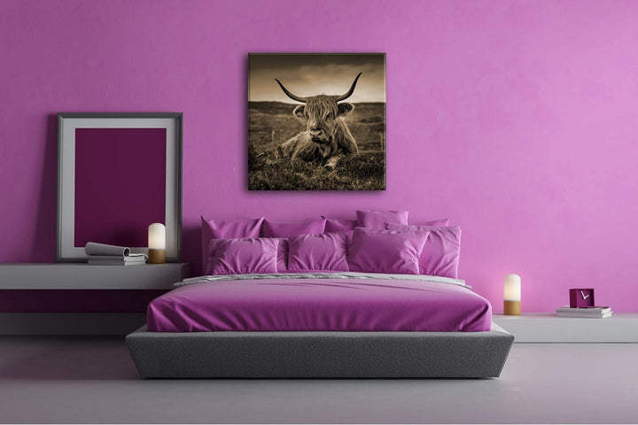 deyoli pelziges Rind auf schottischer Landschaft im Format: 60x60 Effekt: Sepia als Leinwandbild, Mo