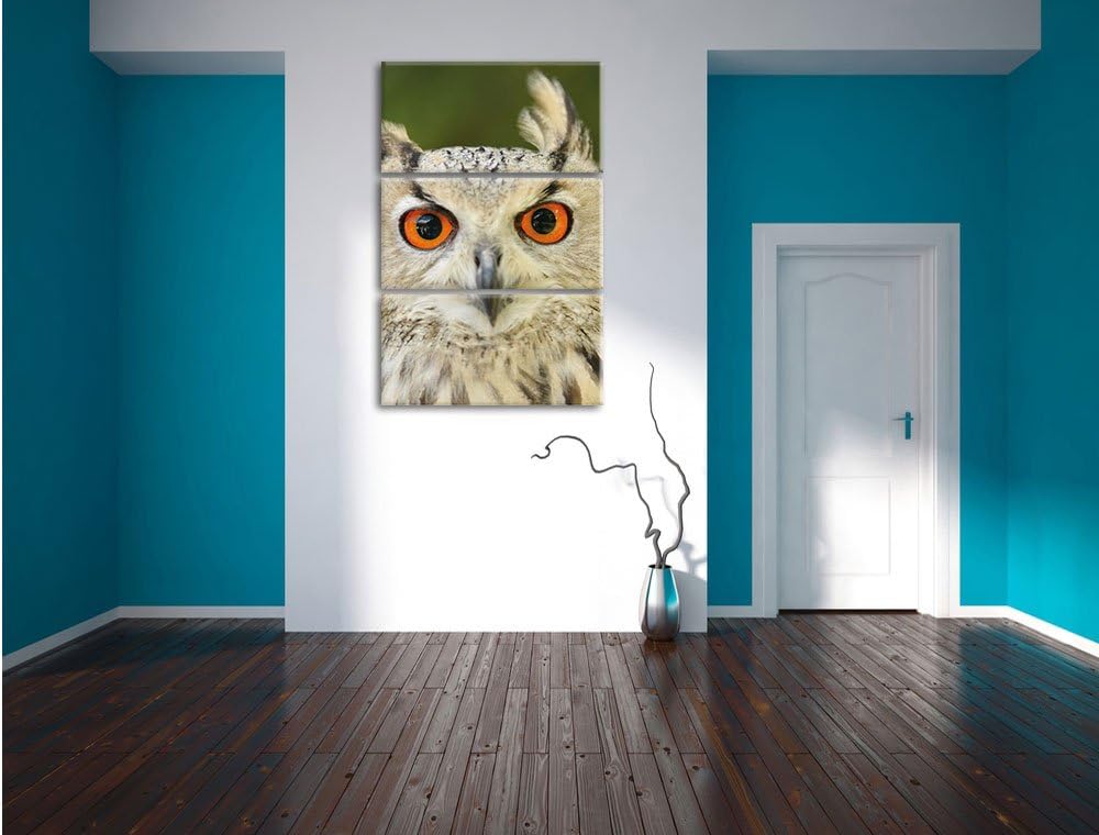 Pixxprint Eulen Kautz Orange Augen als Leinwandbild/Grösse: 3 Teilig (120x80) cm/Wandbild/Kunstdruck
